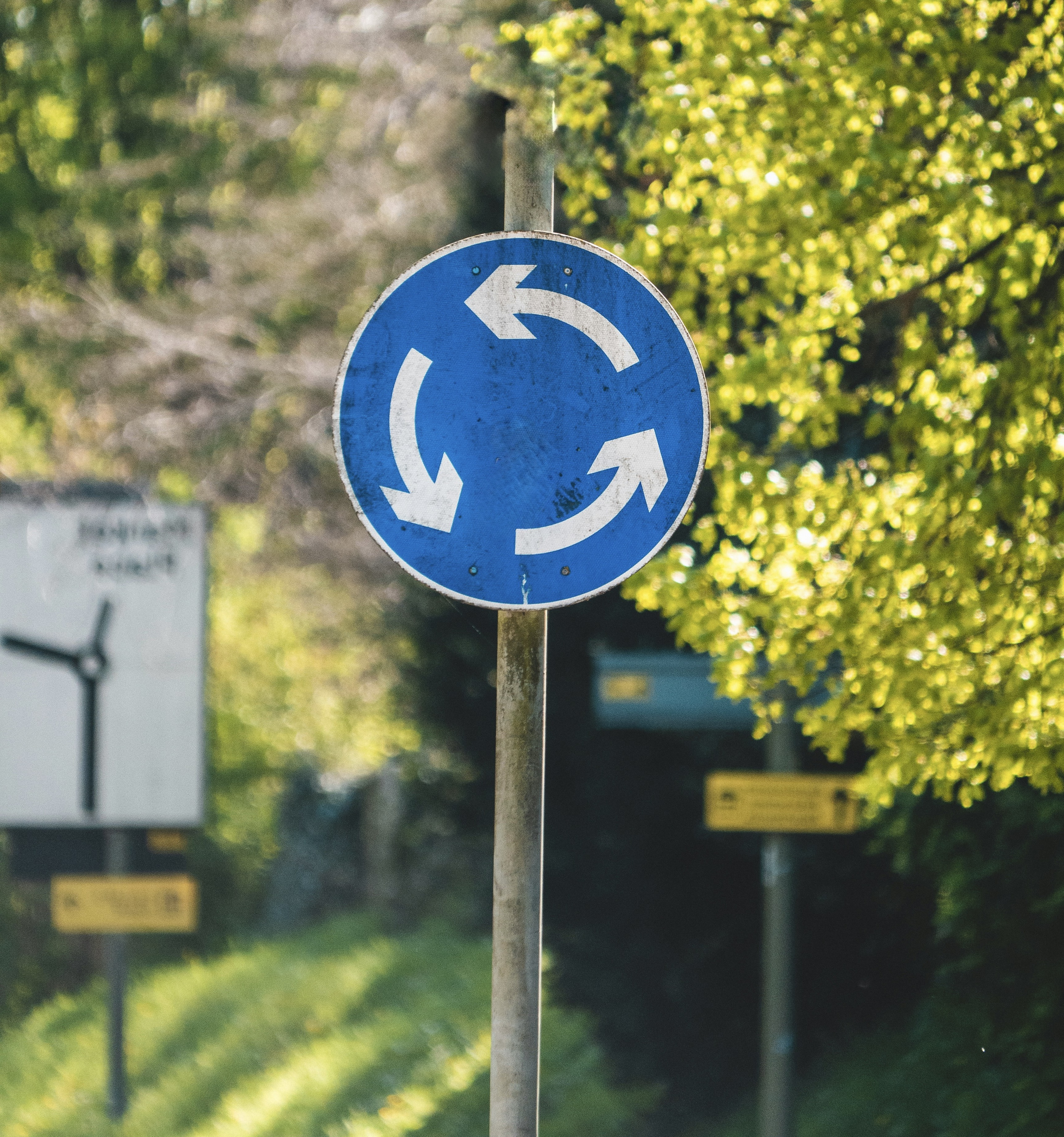 A blue roundabout circulation sign against sunlit trees